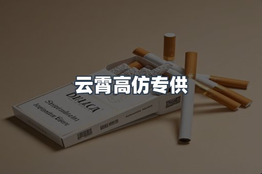 云霄高仿专供